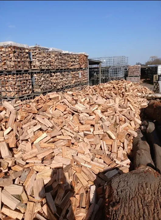 Los hout